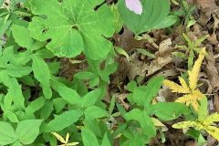 IMG_4217-2-rotated